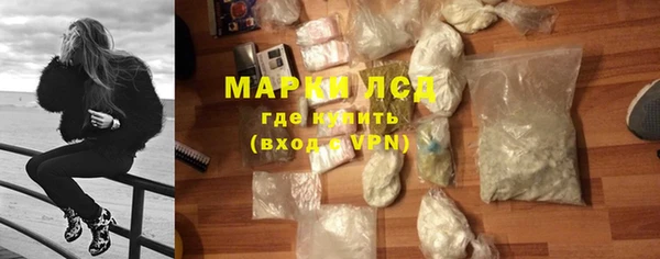 сатива Армянск