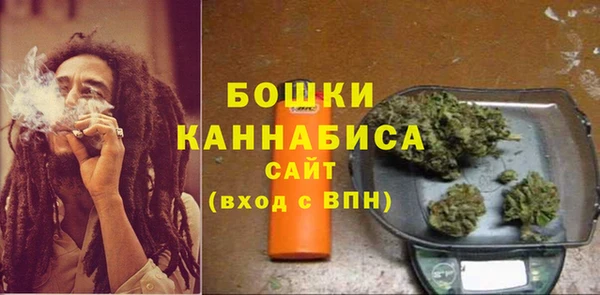 сатива Армянск