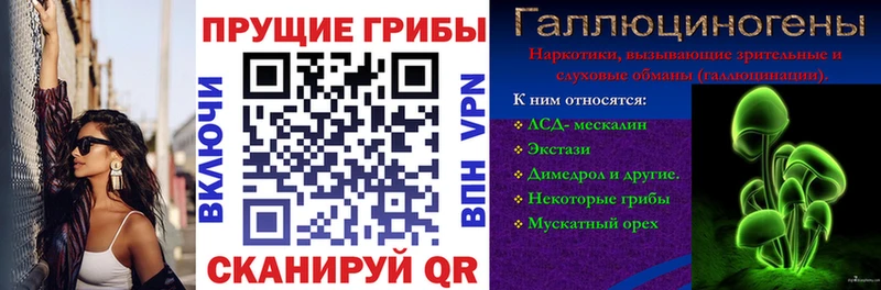 Галлюциногенные грибы Psilocybine cubensis  Ишим 